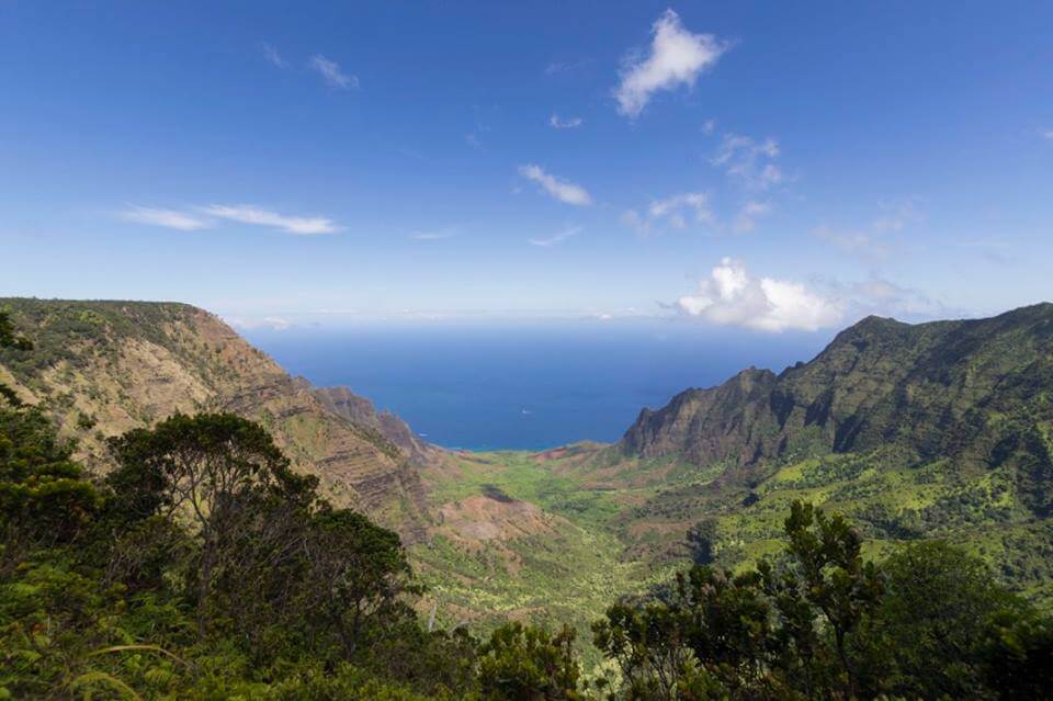 Alaka'i Swamp Trail in Koke'e State Park