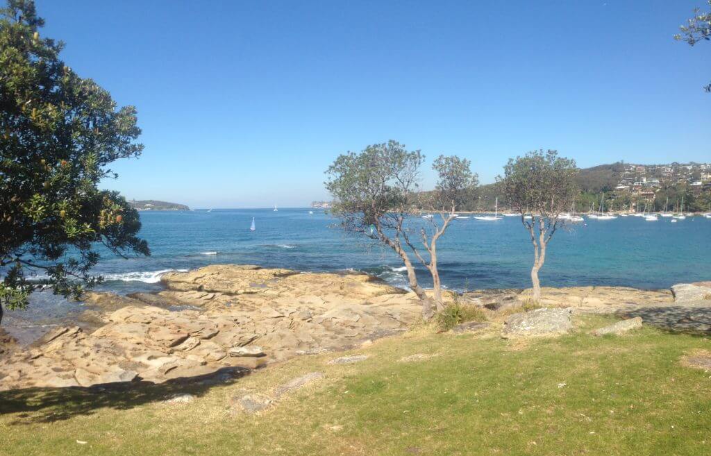 The Manly Harbour 