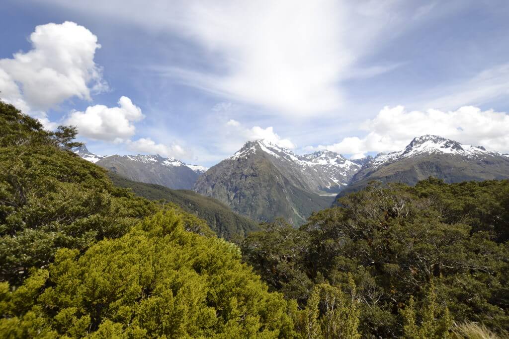 The view from the end of the Key Summit Trail