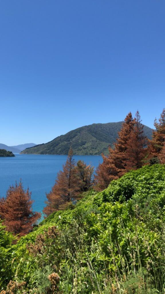 View over the Tennyson Inlet from the Archer Trail