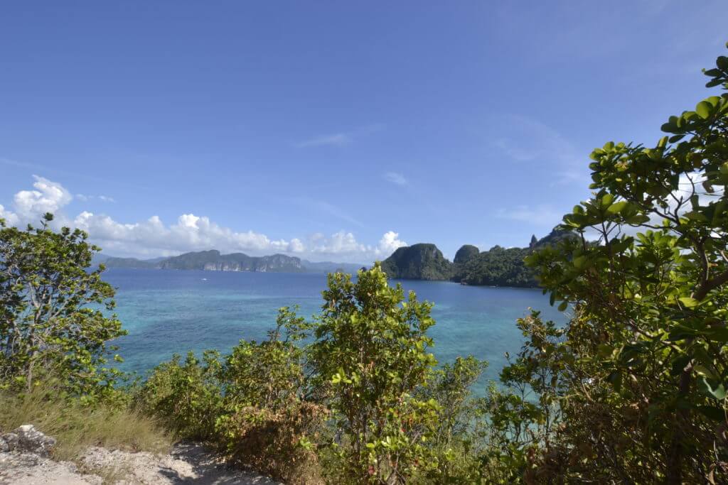 Snake Island Lookout