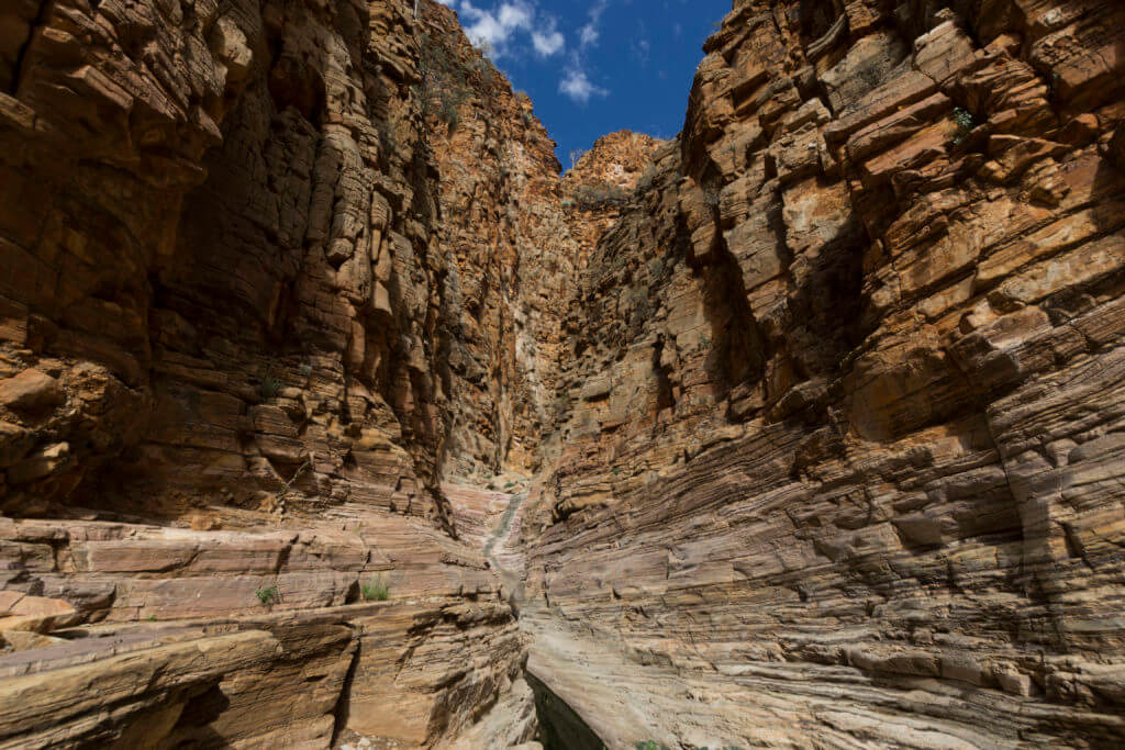 The Olive Trail leading through the Namib Naukluft